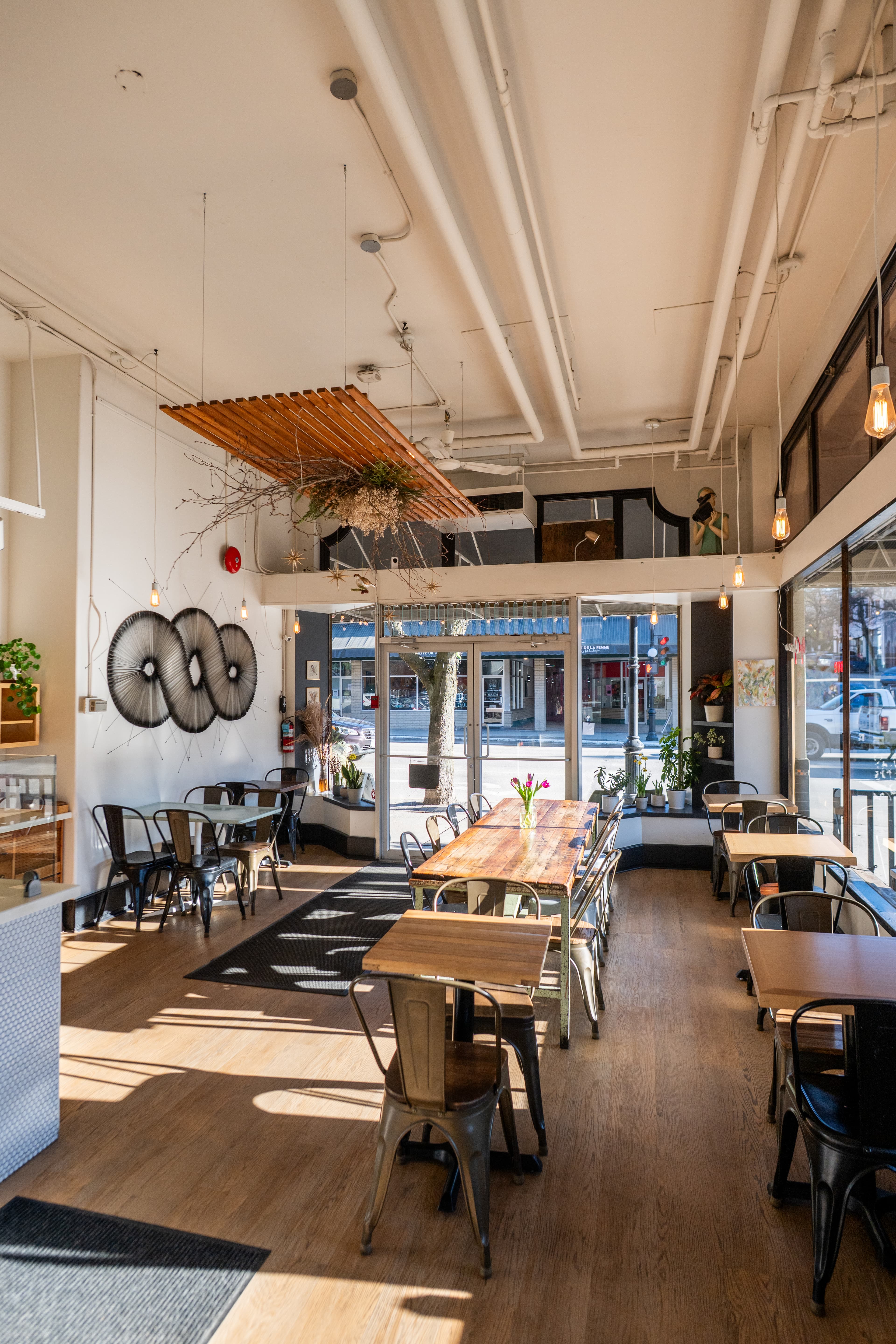 Bright cafe interior with tables, chairs, plants and morning light